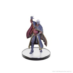 D&D The Legend of Drizzt 35th Anniversary pre-painted Miniatures Family & Foes Boxed Set | 0634482962145