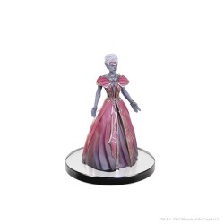 D&D The Legend of Drizzt 35th Anniversary pre-painted Miniatures Family & Foes Boxed Set | 0634482962145