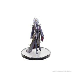 D&D The Legend of Drizzt 35th Anniversary pre-painted Miniatures Family & Foes Boxed Set | 0634482962145