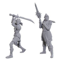 D&D Nolzur's Marvelous Miniatures miniature à peindre Lae'zel & Shadowheart