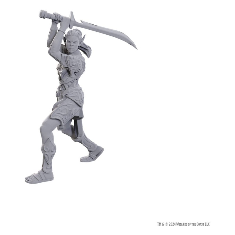 D&D Nolzur's Marvelous Miniatures Unpainted Miniature Lae'zel & Shadowheart | 0634482963654