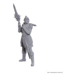 D&D Nolzur's Marvelous Miniatures Unpainted Miniature Lae'zel & Shadowheart | 0634482963654