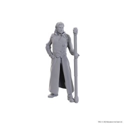 D&D Nolzur's Marvelous Miniatures Unpainted Miniature Gale & Astarion | 0634482963661