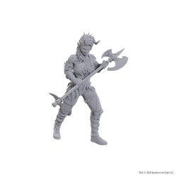 D&D Nolzur's Marvelous Miniatures Unpainted Miniature Wyll & Karlach | 0634482963678