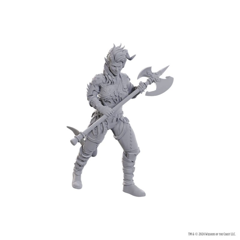 D&D Nolzur's Marvelous Miniatures Unpainted Miniature Wyll & Karlach | 0634482963678