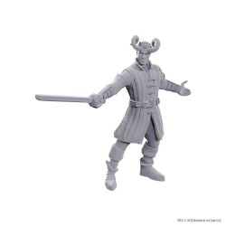 D&D Nolzur's Marvelous Miniatures Unpainted Miniature Wyll & Karlach | 0634482963678