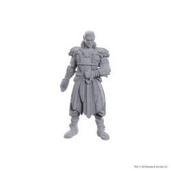 D&D Nolzur's Marvelous Miniatures Unpainted Miniature Jaheira & Halsin | 0634482963685