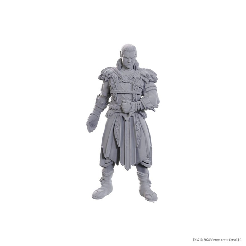 D&D Nolzur's Marvelous Miniatures Unpainted Miniature Jaheira & Halsin | 0634482963685