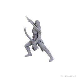 D&D Nolzur's Marvelous Miniatures Unpainted Miniature Jaheira & Halsin | 0634482963685