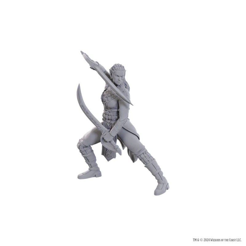 D&D Nolzur's Marvelous Miniatures Unpainted Miniature Jaheira & Halsin | 0634482963685