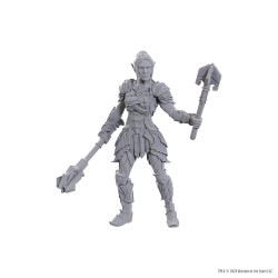 D&D Nolzur's Marvelous Miniatures Unpainted Miniature Dame Aylin & Minthara | 0634482963692
