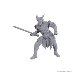 D&D Nolzur's Marvelous Miniatures Unpainted Miniature Ulder Ravengard & Zevlor | 0634482963708
