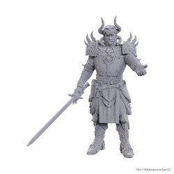 D&D Nolzur's Marvelous Miniatures Unpainted Miniature Sarevok Anchev & Raphael | 0634482963715