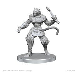 Pathfinder Deep Cuts Unpainted Miniatures Elf Hunter & Catfolk Bandit | 0634482975824