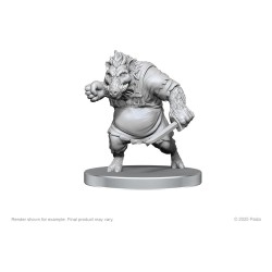 Pathfinder Deep Cuts Unpainted Miniatures Werewolf & Wereboar | 0634482975831