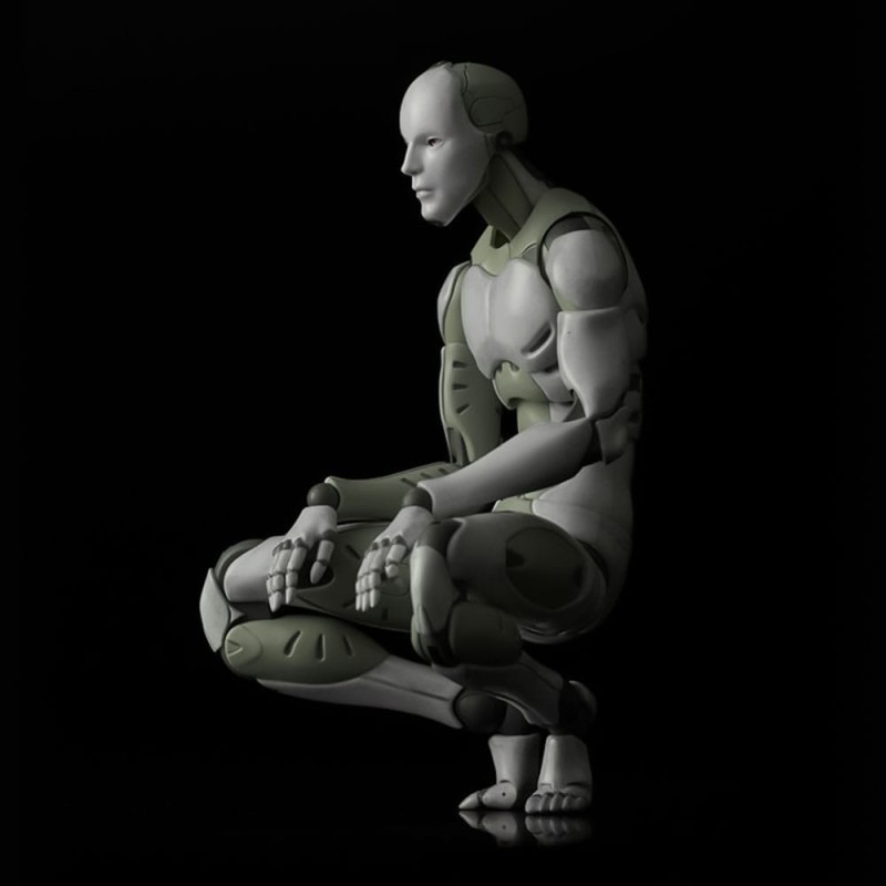 Toa Heavy Industries figurine 1/6 Synthetic Human 30 cm | 4589801391891