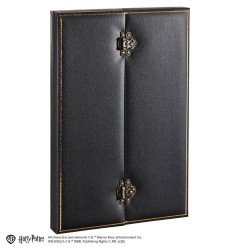 Harry Potter réplique Collier d'opale 30 cm | 0849421011710