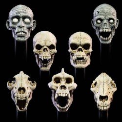 Mythic Legions: All Stars 6 accessoires pour figurines Undead Heads Pack 