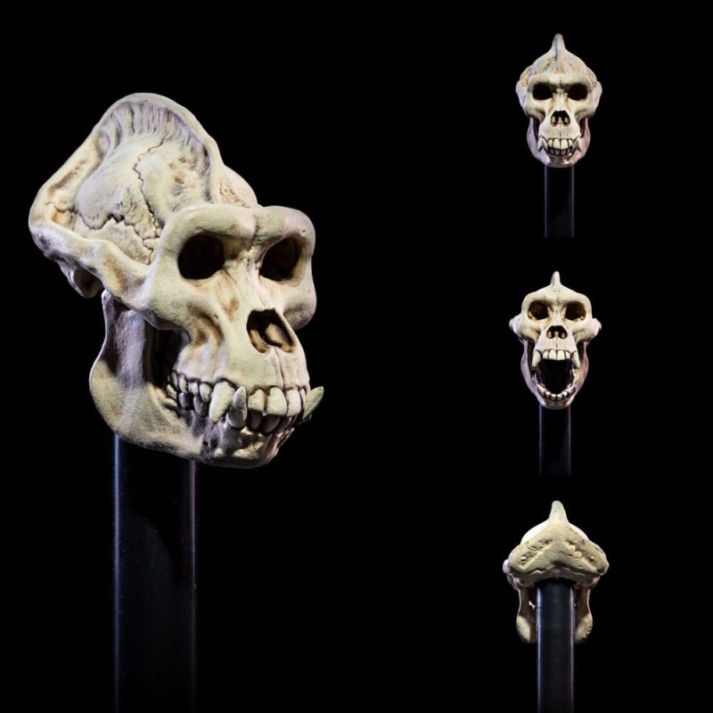 Mythic Legions: All Stars 6 accessoires pour figurines Undead Heads Pack | 0658580362669