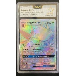 PCA - Pokémon TCG - Tengalice GX FA n°169/168 - S&L Tempête Céleste - 2018