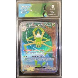 COLLECT AURA - Pokémon TCG - Filentrappe EX n°243/198- E&V - 2023 FR