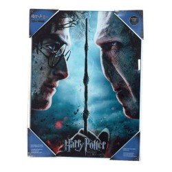 Harry Potter Affiche en verre Harry & Voldemort 30 x 40 cm | 8435450200717