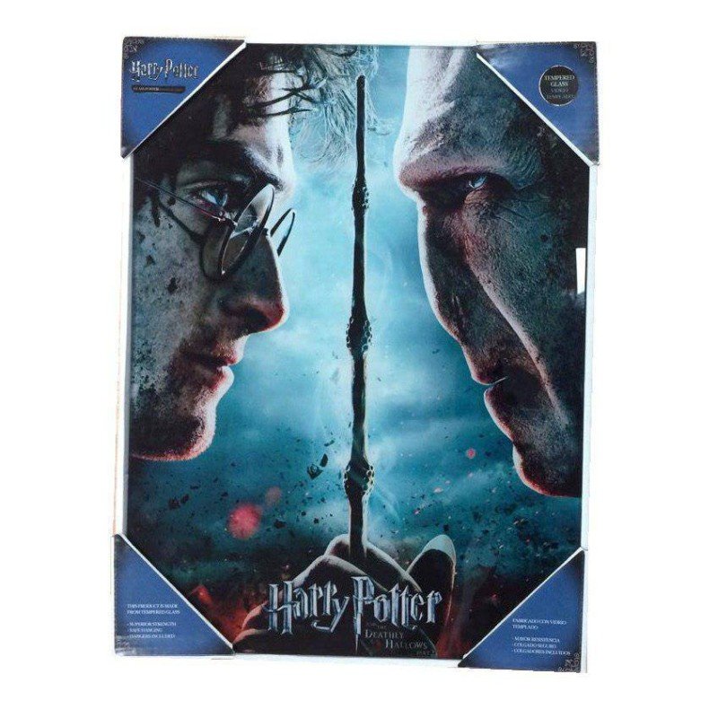 Harry Potter Glass Poster Harry & Voldemort 30 x 40 cm | 8435450200717
