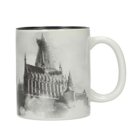 Harry Potter Mug Hogwarts Castle | 8435450206696