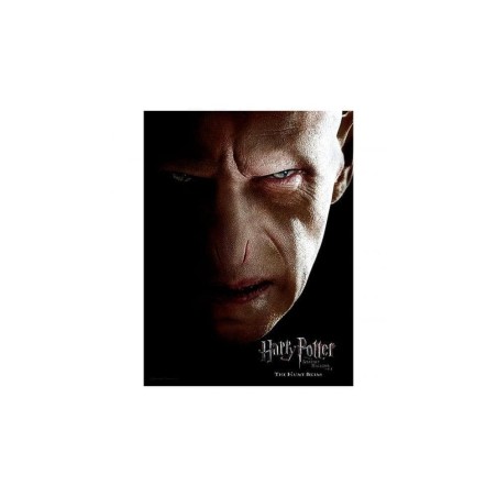 Harry Potter Glass Poster Voldemort 30 x 40 cm | 8435450250866