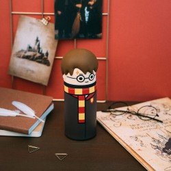 Harry Potter 3D Kit Harry Potter