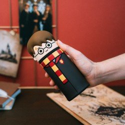 Harry Potter 3D Kit Harry Potter