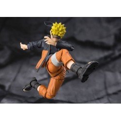 Naruto figurine S.H.Figuarts Naruto Uzomaki The Power To Unite 15 cm         