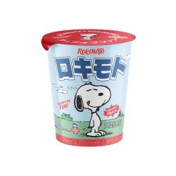 Peanuts + Rokimoto assortiment figurines Blind Box 10 cm (12)