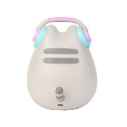 Pusheenlamp met USB-C Gamer  