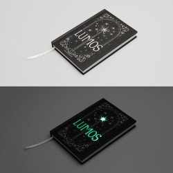 Harry Potter Premium A5 Notebook with Lumos Maxima Light