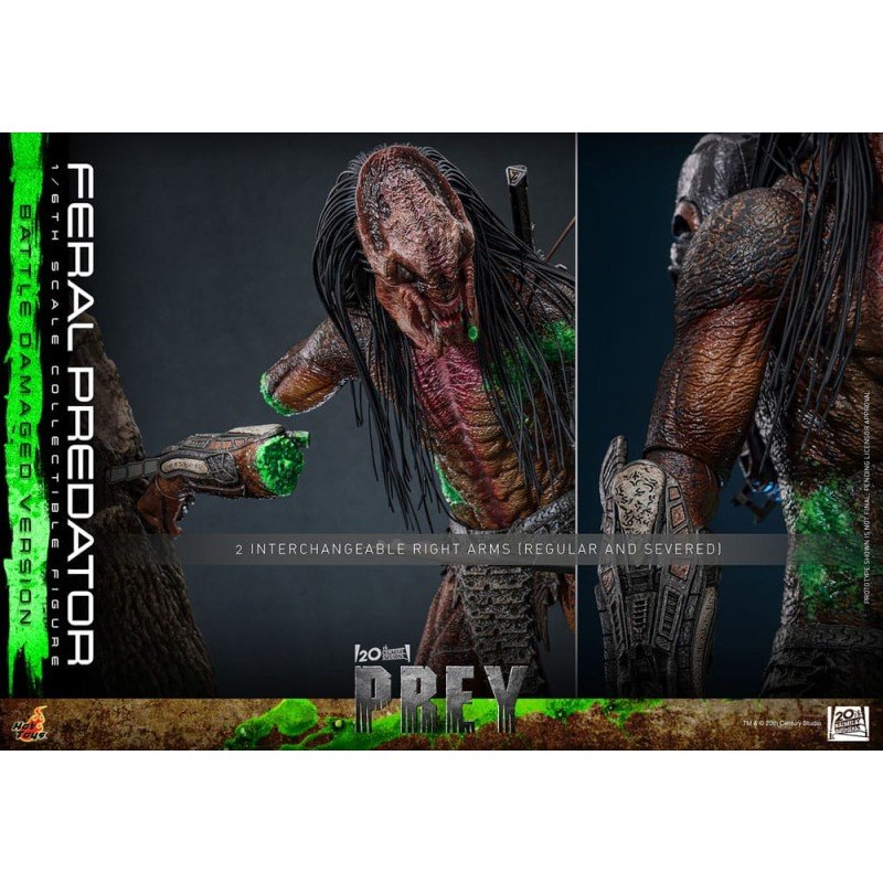 Prey figurine 1/6 Feral Predator (Battle Damaged Version) 37 cm