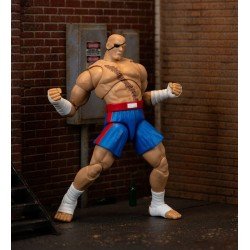 Ultra Street Fighter II: The Final Challengers 1/12 Sagat 19 cm figure   