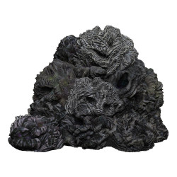 Dungeons & Dragons - Prepainted Miniature Pack - Icons of the Realms - Adventure in a Box - Wererat Den