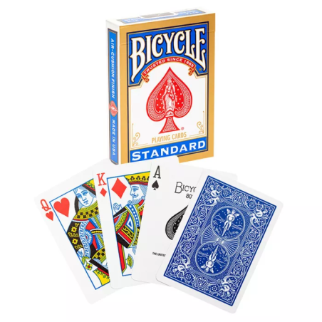 Fietsrijder rug - Standaardindex
