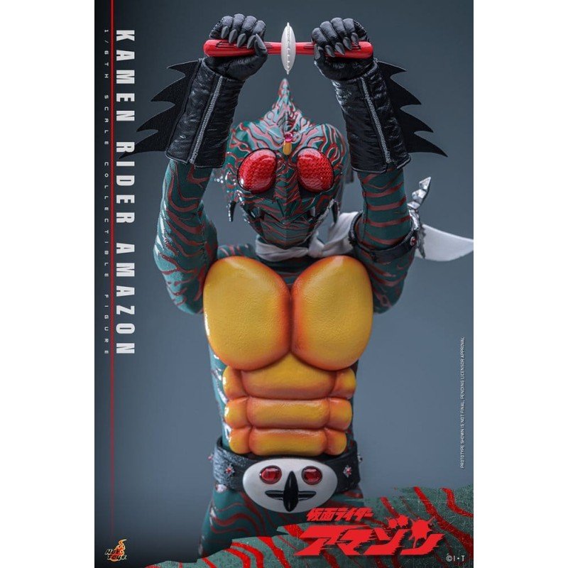 Kamen Rider Amazon 1/6 Amazon (Daisuke Yamamoto) 30 cm 