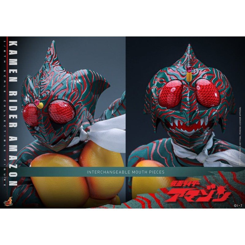 Kamen Rider Amazon 1/6 Amazon (Daisuke Yamamoto) 30 cm 