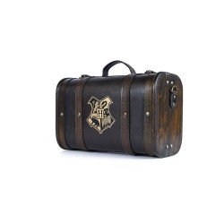 Harry Potter coffret cadeau Trouble Finds Me