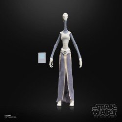 Star Wars Episode II Black Series Action Figure Taun We 15 cm