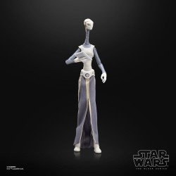 Star Wars Episode II Black Series figurine Taun We 15 cm