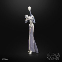 Star Wars Episode II Black Series Action Figure Taun We 15 cm