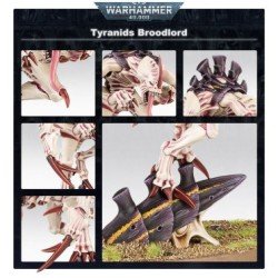 Warhammer 40,000 - Tyranides : Broodlord