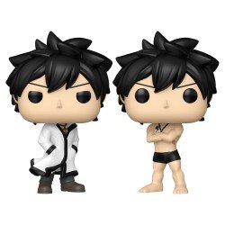 Fairy Tail 100 Year Quest assortiment POP! Animation Vinyl figurines Gray w/Chase 9 cm (6)