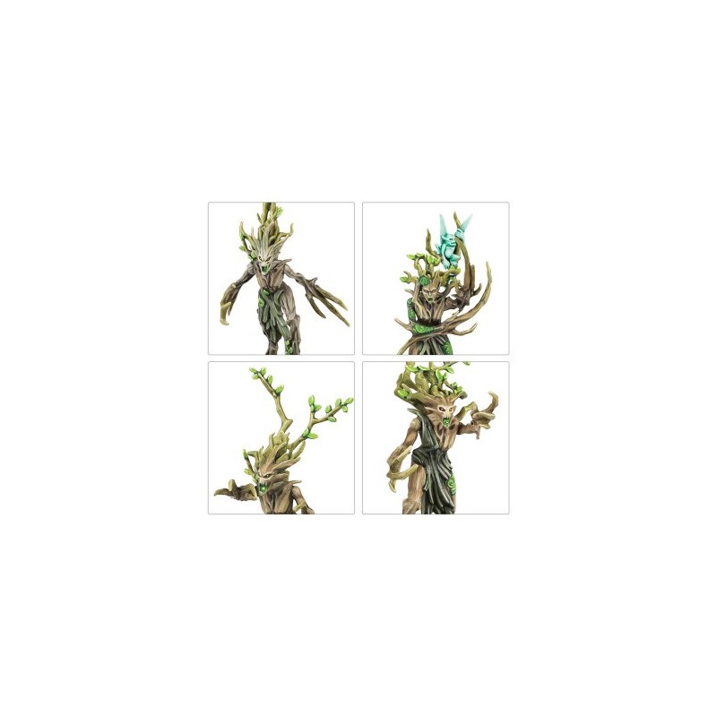 Warhammer Age of Sigmar - Sylvaneth: Outcast Spitegrove / Outcast of Outcast of Outcasts