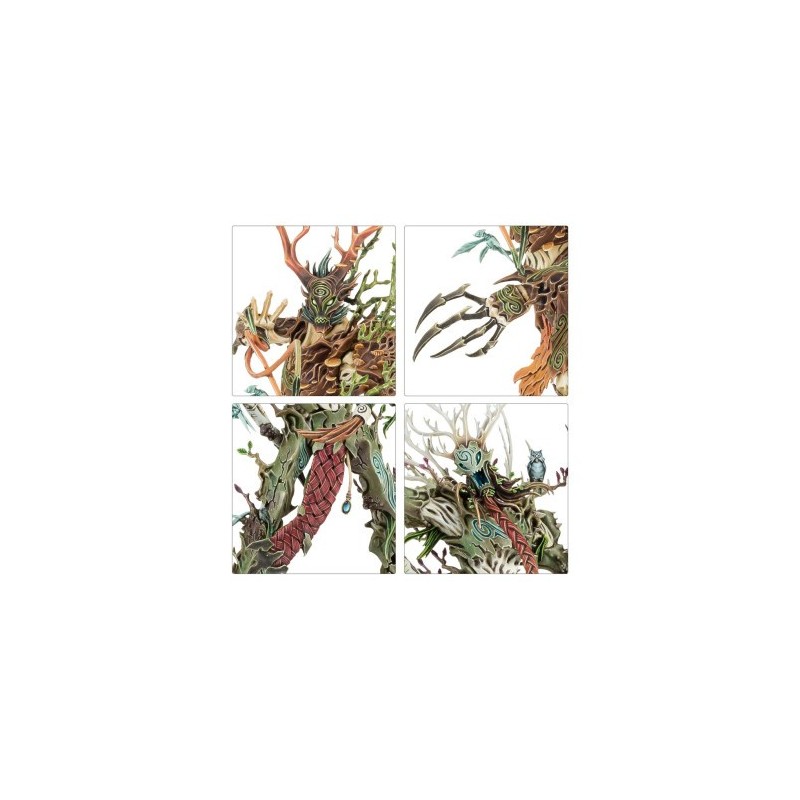 Warhammer Age of Sigmar - Sylvaneth : Outcast Spitegrove / Fielbosquet de Parias
