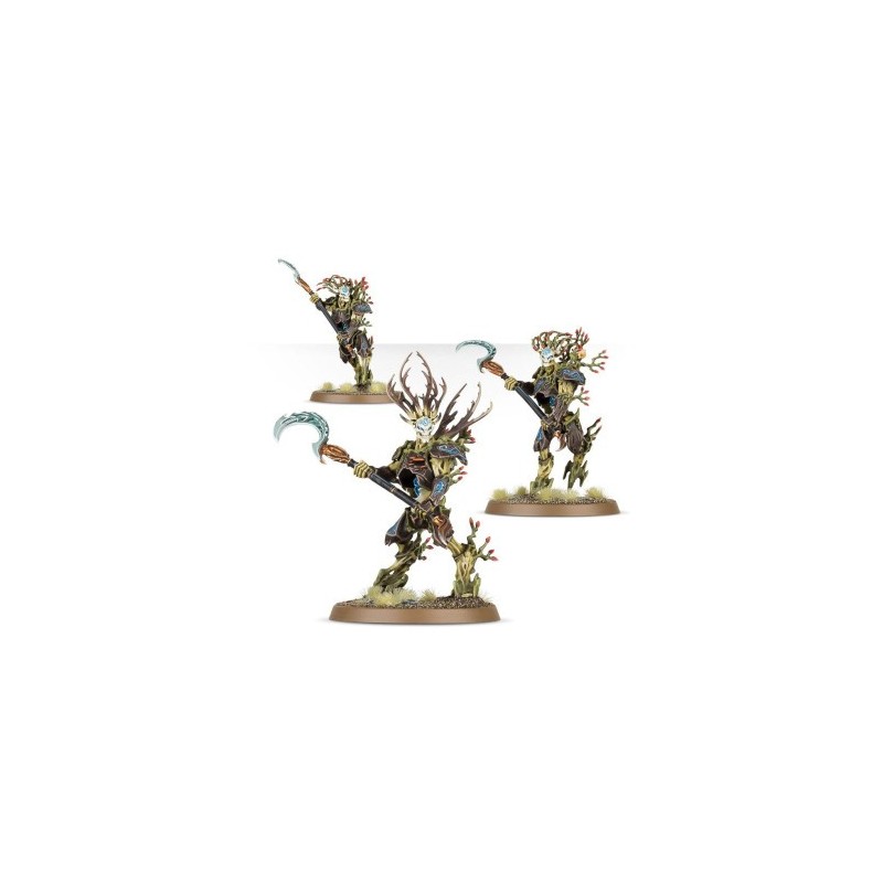 Warhammer Age Of Sigmar - Sylvaneth as Kurnoth Hunters